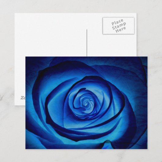 Blue Rose Postcard Postkarte (Vorne/Hinten)
