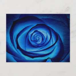Blue Rose Postcard Postkarte