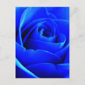 Blue Rose Postcard Postkarte (Vorderseite)