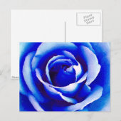 Blue Rose_ Postkarte (Vorne/Hinten)