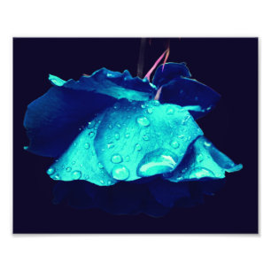 Blue Rose Raindrops Abstrakte Blume Art 8x10 Fotodruck