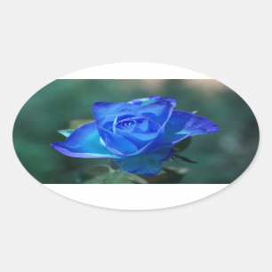 Blue Rose Sticker