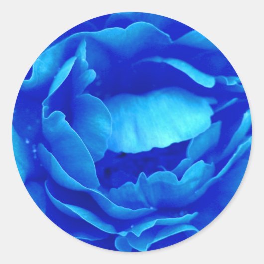 Blue Rose Sticker - Anpassbar (Vorderseite)