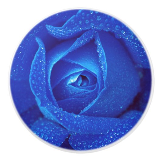 Blue Rosebud Rose Blume elegant Keramikknauf (Vorderseite)