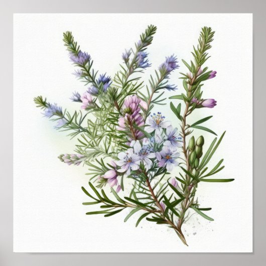 Blue Rosemary Blume Art Print Poster (Vorne)