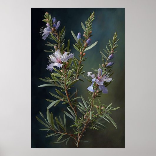Blue Rosemary Blume Art Print Poster (Vorne)