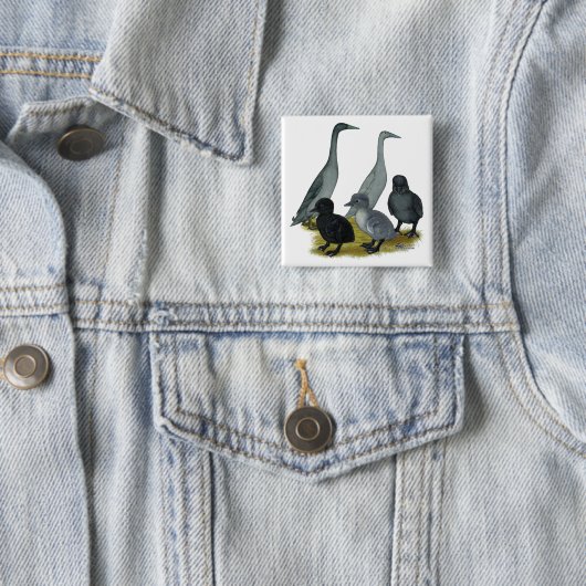 Blue Runner Duck Family Button (Beispiel)