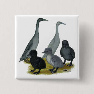 Blue Runner Duck Family Button