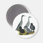 Blue Runner Duck Family Magnet (Vorderseite/Rückseite)