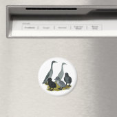 Blue Runner Duck Family Magnet (In Situ (Geschirrspüler))