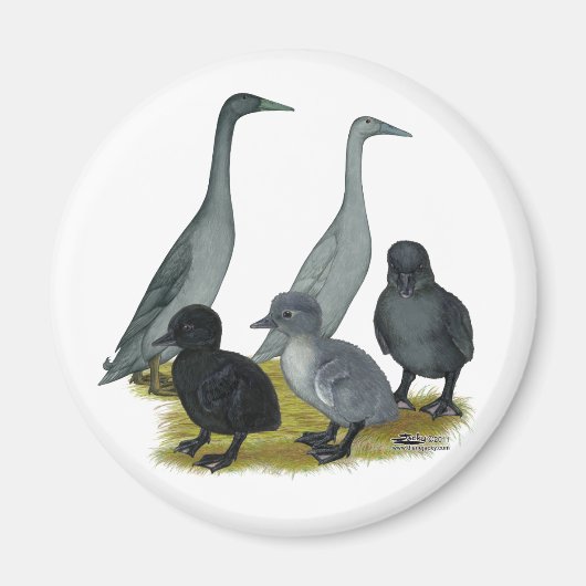 Blue Runner Duck Family Magnet (Vorne)