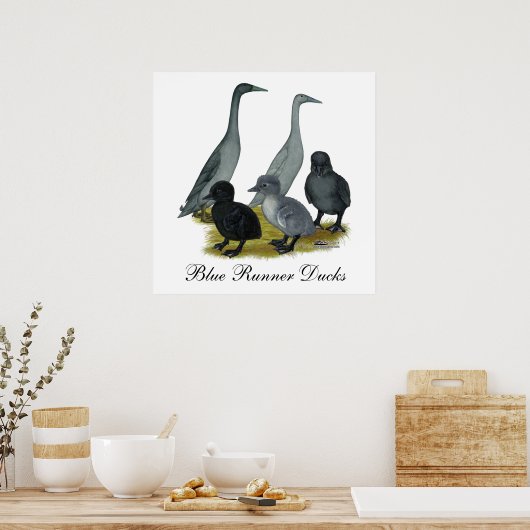 Blue Runner Duck Family Poster (Küche)