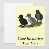 Blue Runner Ducklings Einladung (Vorne/Hinten)