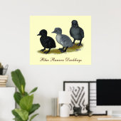 Blue Runner Ducklings Poster (Heimbüro)