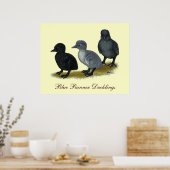 Blue Runner Ducklings Poster (Küche)