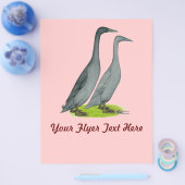 Blue Runner Ducks Flyer (Einzeln)