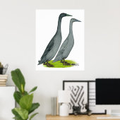 Blue Runner Ducks Poster (Heimbüro)