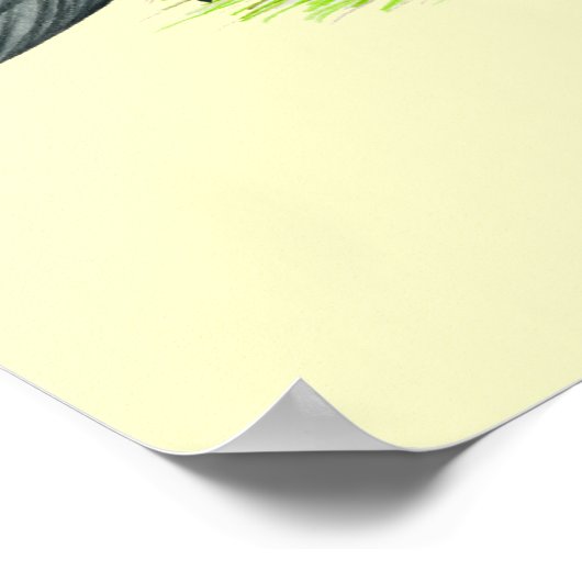 Blue Runner Ducks Poster (Ecke)