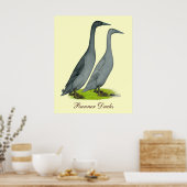 Blue Runner Ducks Poster (Küche)