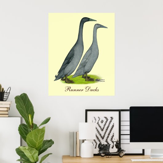 Blue Runner Ducks Poster (Heimbüro)