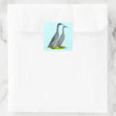 Blue Runner Ducks Quadratischer Aufkleber (Tasche)