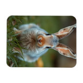 Blue Russian Bunny, Magnet (Horizontal)