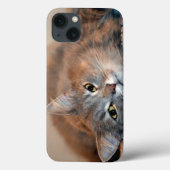 Blue Russian Cat Long Hairs by Shirley Taylor Case-Mate iPhone Hülle (Rückseite)