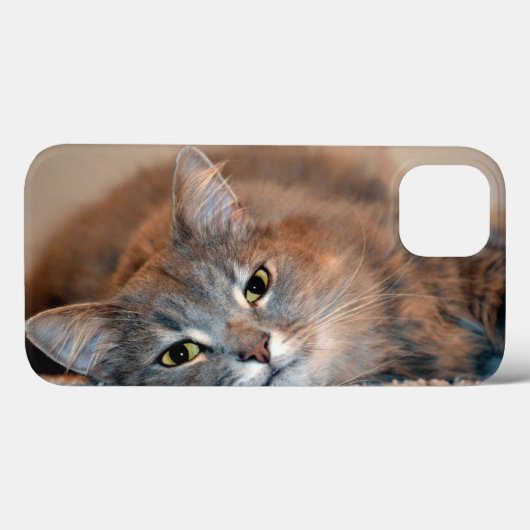 Blue Russian Cat Long Hairs by Shirley Taylor Case-Mate iPhone Hülle (Rückseite (Horizontal))