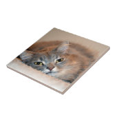 Blue Russian Cat Long Hairs by Shirley Taylor Fliese (Seite)