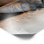 Blue Russian Cat Long Hairs by Shirley Taylor Fotodruck (Ecke)