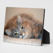 Blue Russian Cat Long Hairs by Shirley Taylor Fotoplatte (Seite)