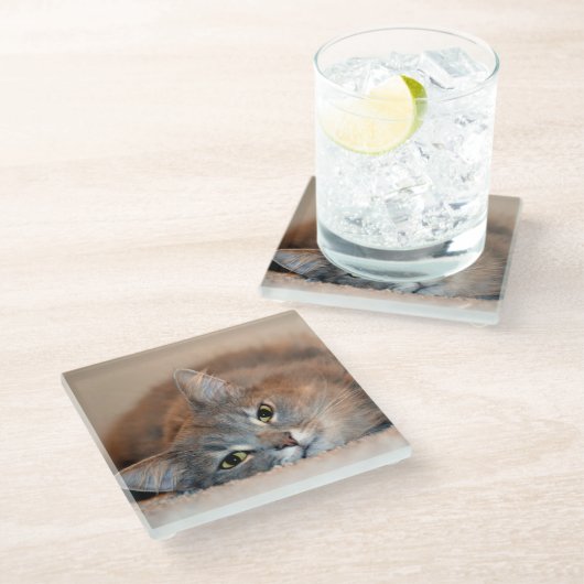 Blue Russian Cat Long Hairs by Shirley Taylor Glasuntersetzer (Schrägansicht)