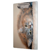 Blue Russian Cat Long Hairs by Shirley Taylor Klemmbrett (Links)