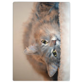 Blue Russian Cat Long Hairs by Shirley Taylor Klemmbrett (Rückseite)