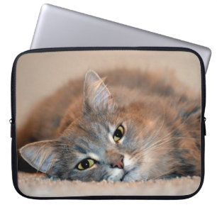 Blue Russian Cat Long Hairs by Shirley Taylor Laptopschutzhülle