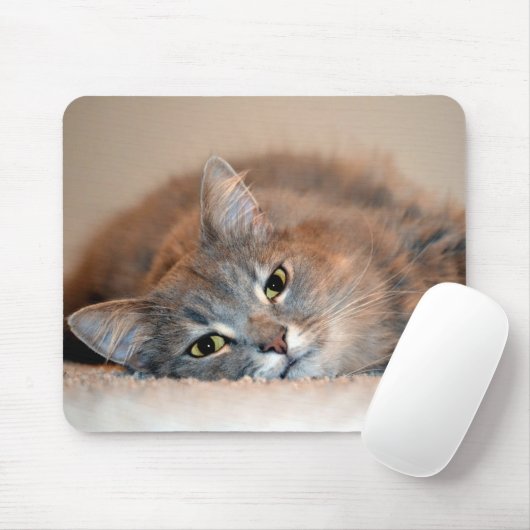 Blue Russian Cat Long Hairs by Shirley Taylor Mousepad (Mit Mouse)
