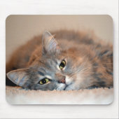 Blue Russian Cat Long Hairs by Shirley Taylor Mousepad (Vorne)