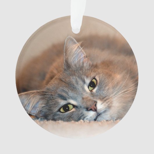 Blue Russian Cat Long Hairs by Shirley Taylor Ornament (Vorderseite)