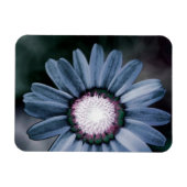 Blue Rustic Daisy Flexible Foto Magnet (Horizontal)