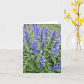 Blue Salvia Garden Blume Blankokarte Karte (Gelbe Blume)