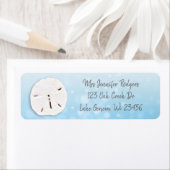 Blue Sand Dollar Beachy (Insitu)