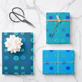 Blue Sand Dollar Geschenkpapier Set