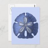 Blue Sand Dollar Postkarte (Vorne/Hinten)