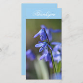 Blue Scilla siberica (Wood Squill) Blume Dankeskarte (Vorne/Hinten)