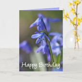 Blue Scilla siberica (Wood Squill) Blume Karte (Gelbe Blume)