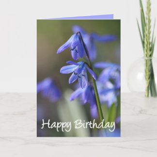 Blue Scilla siberica (Wood Squill) Blume Karte