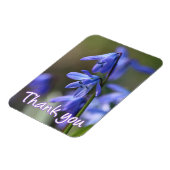 Blue Scilla siberica (Wood Squill) Blume Magnet (Linke Seite)