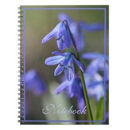 Blue Scilla siberica (Wood Squill) Blume Notizblock