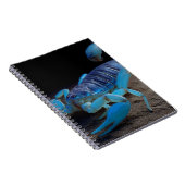 Blue Scorpion Glow Notebook Notizblock (Rechte Seite)