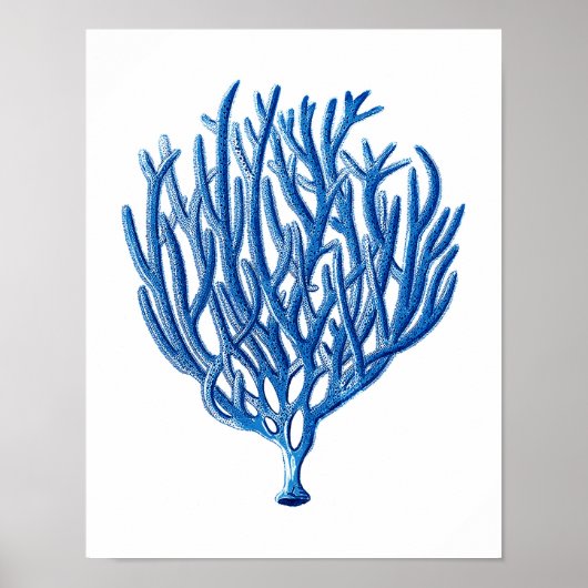 Blue Sea Coral Art Print #1 Beach House Wall Art Poster (Vorne)